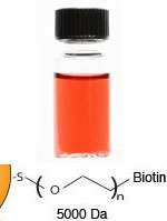Biotin Gold Au Nanoparticles