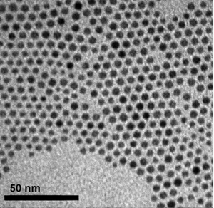 Water-Soluble Magnetic Iron Oxide (Fe3O4) Nanocrystals (FEOW)