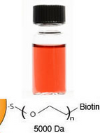 Biotin Gold Au Nanoparticles