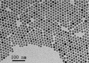 Magnetic Iron Oxide (Fe3O4) Nanocrystals (FEO)